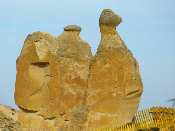 camel cappadocia tufa