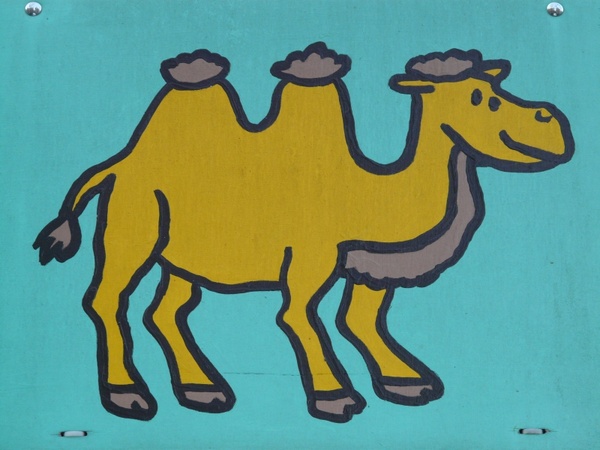 camel comic fig