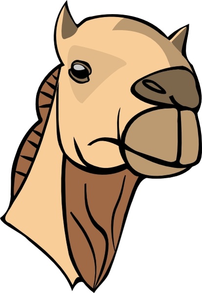 Camel Head clip art