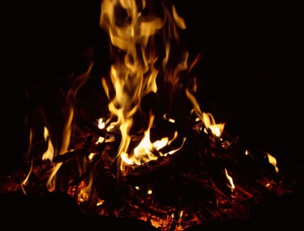 Campfire, Marshmallows, Fire, Fun