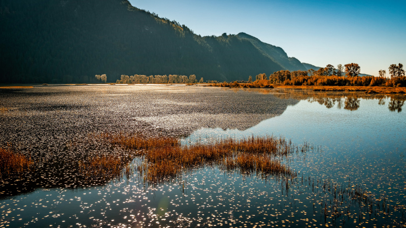 canada scenery picture elegant rural lake scene 