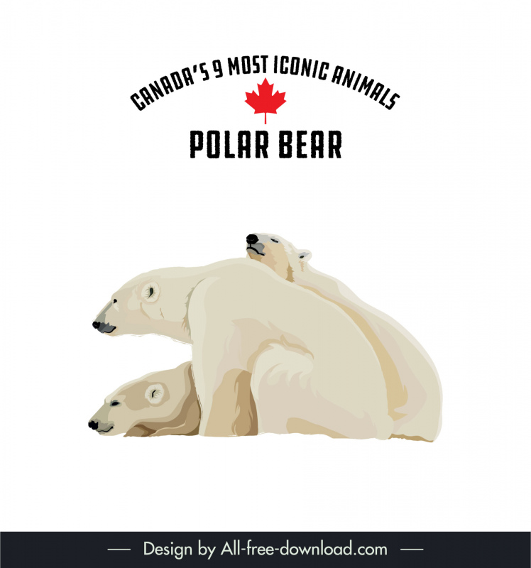 canadas 9 most iconic animals design elements polar bear cartoon sketch 
