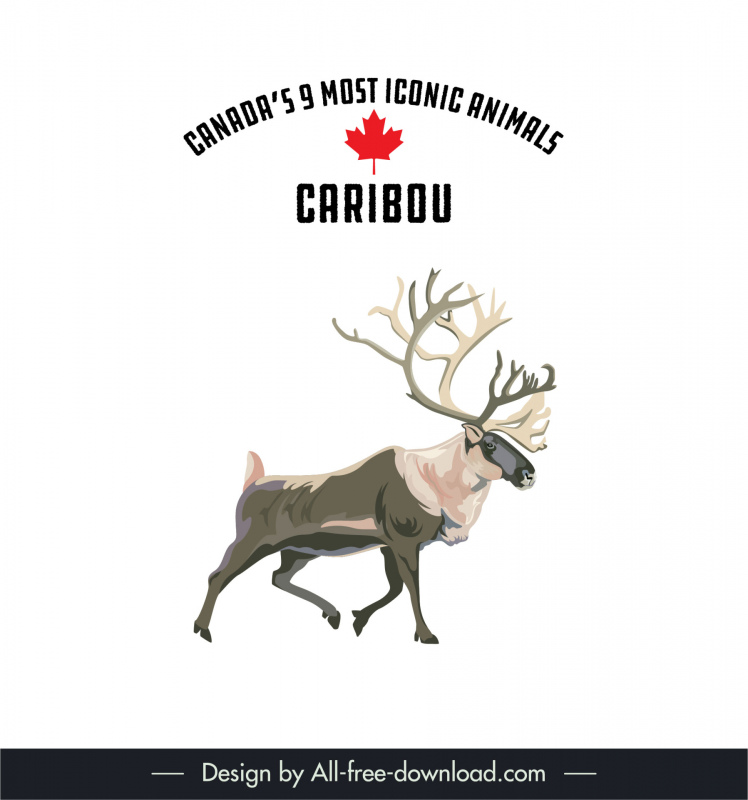 canadian 9 most iconic animals design elements caribou animal sketch
