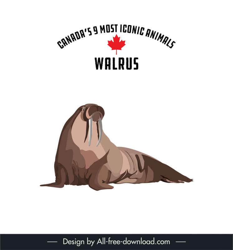 canadian 9 most iconic animals design elements classical walrus sketch 
