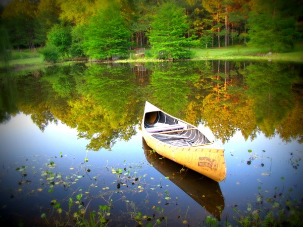 canoe water nature 