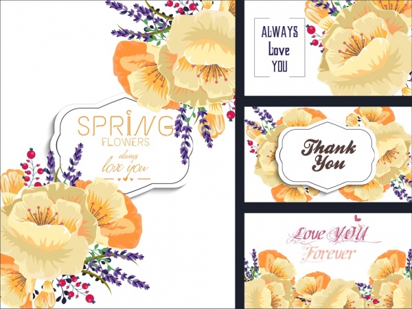 card cover templates flowers icons sketch texts decor