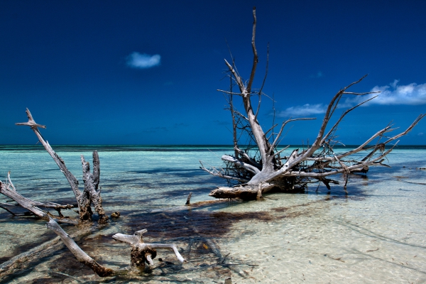 caribbean coastline 