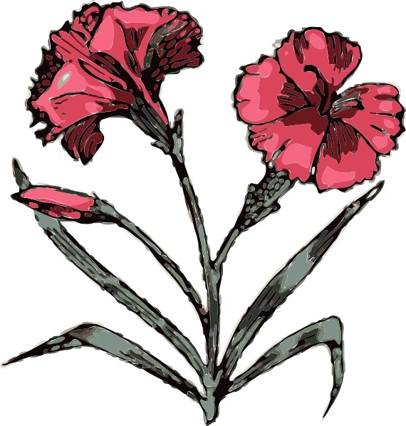 Carnation Flower clip art 