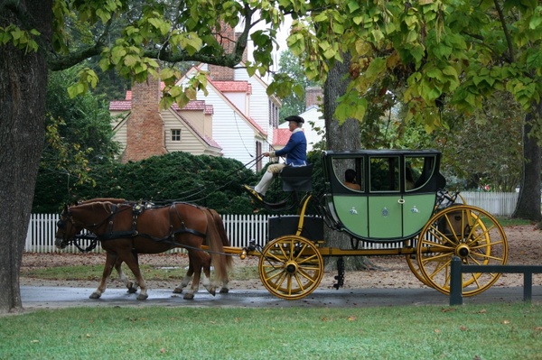carriage vehicle horses