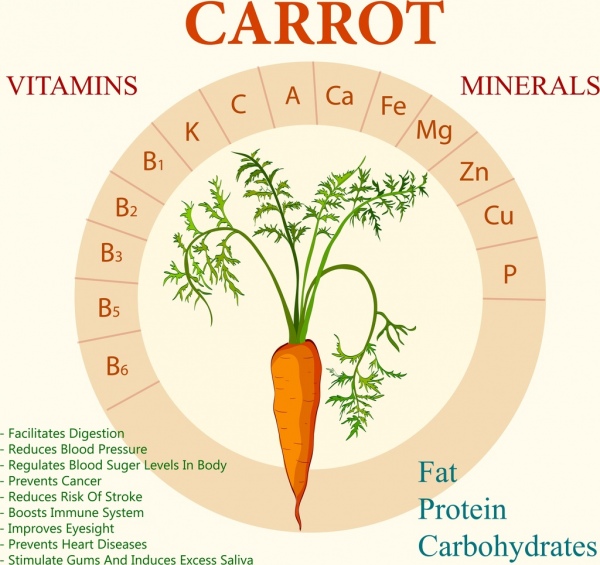 carrot benefit infographic flat circle layout texts decor
