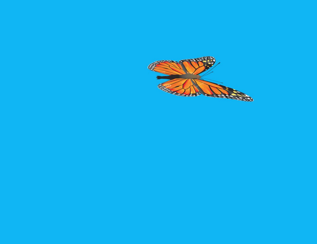 cartoon clip of colorful butterfly flying