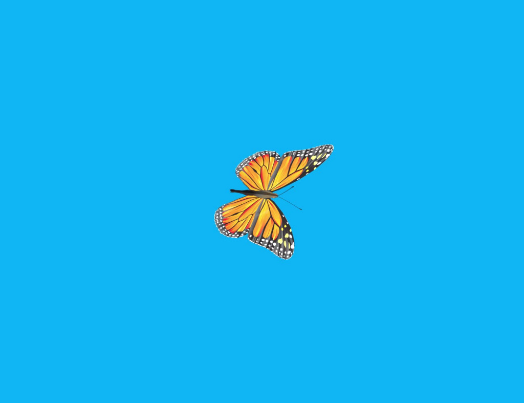 cartoon of butterfly flying on blue background