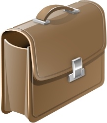 Case / Bag