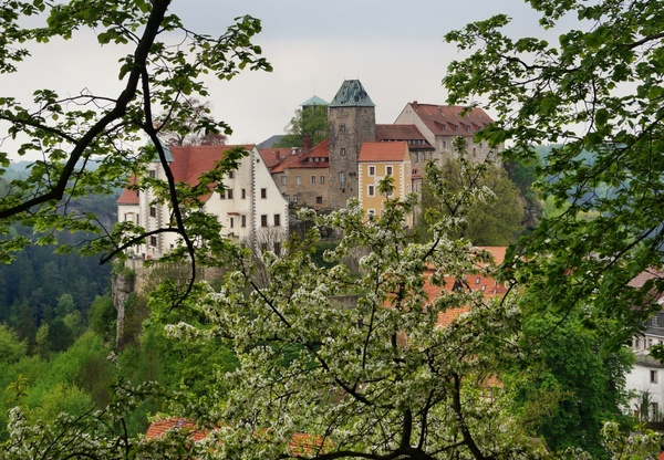 castle hohnstein height burg rock castle