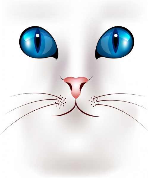 cat face portrait closeup design blue eyes