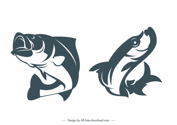 catfish species icons classic handdrawn dynamic design