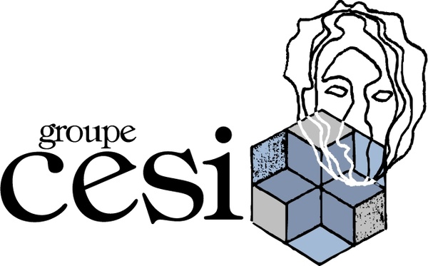 cesi groupe 