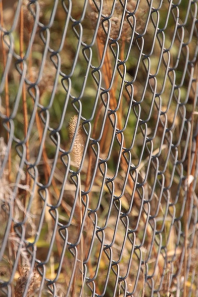 chain fence fencing