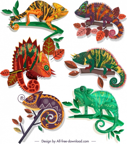 chameleon species icons colorful flat sketch