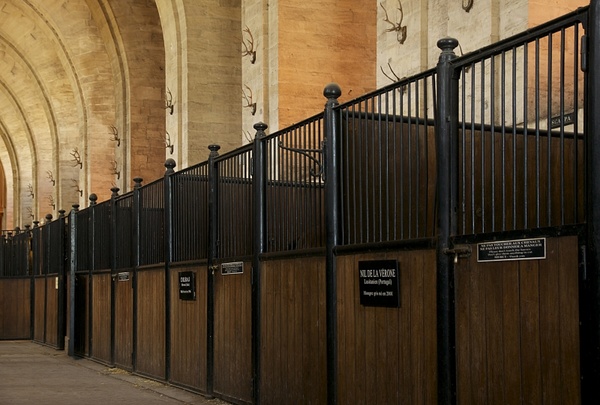 chantilly france stable 