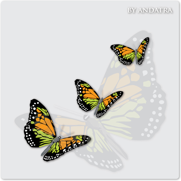 charming butterflies with butterfly background vector graphics
