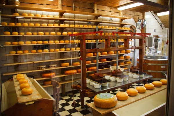 cheese factory