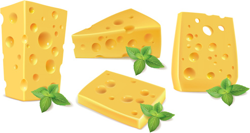 cheese with green basil vecor