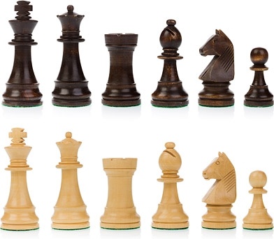 chess picture 1 