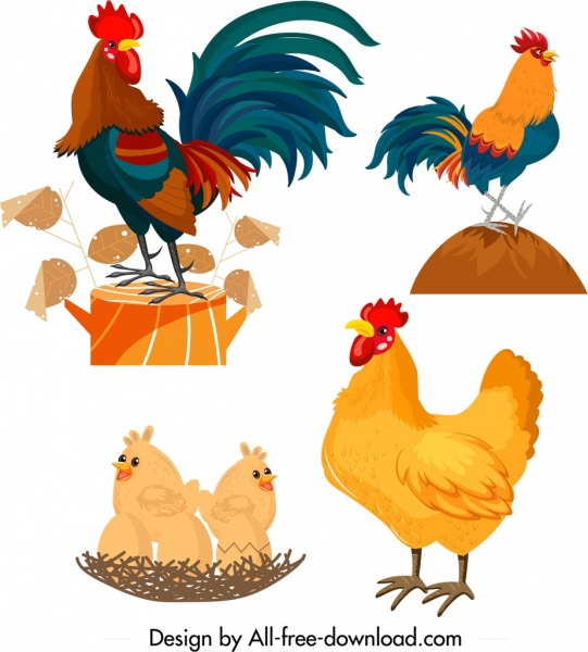 chicken icons rooster hen chick symbols cartoon design