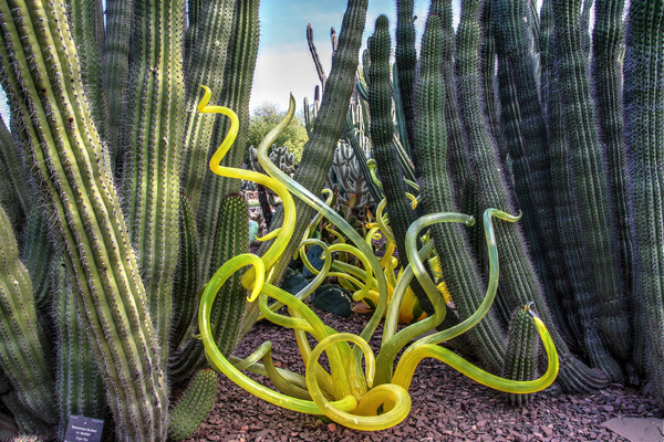 chihuly in yellow 