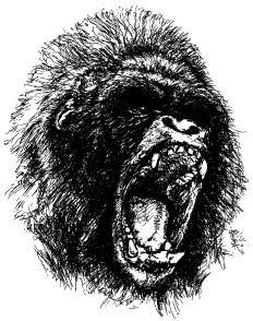 Chimpanzee vector 