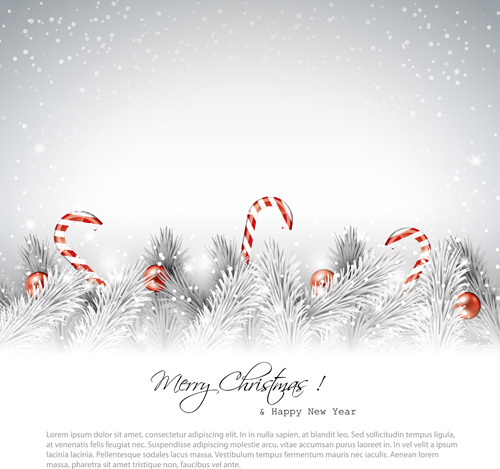 christmas baubles with winter background vector