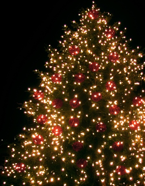 christmas christmas tree lichterkette