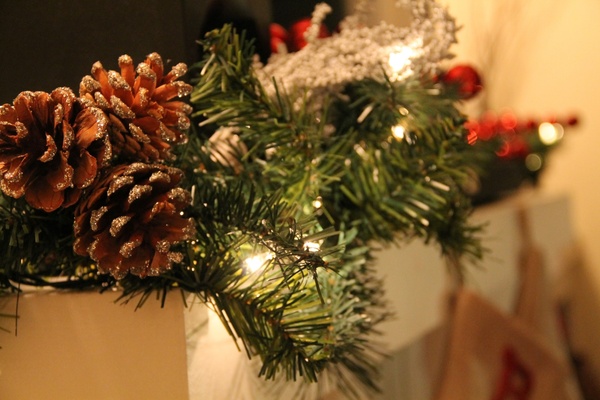 christmas garland with pine cones