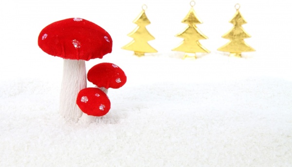 christmas mushroom