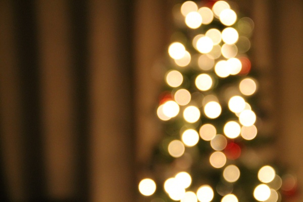 christmas tree lights bokeh