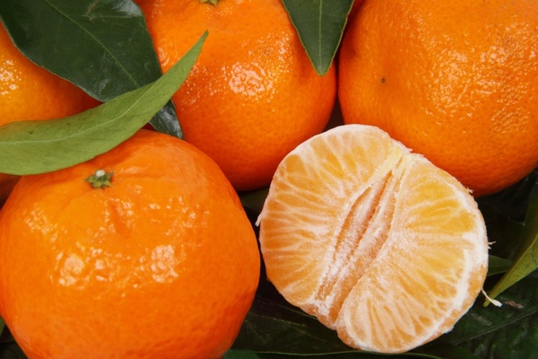 citrus clementine food