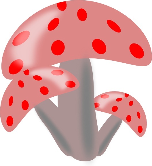 Ciuperci Mushrooms clip art 