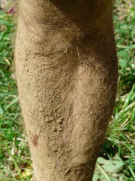 clay bread crumbs lump of dirt legs