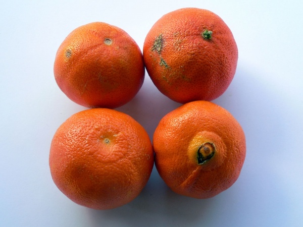 clementine fruit