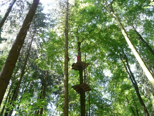 climbing forest high ropes course climb
