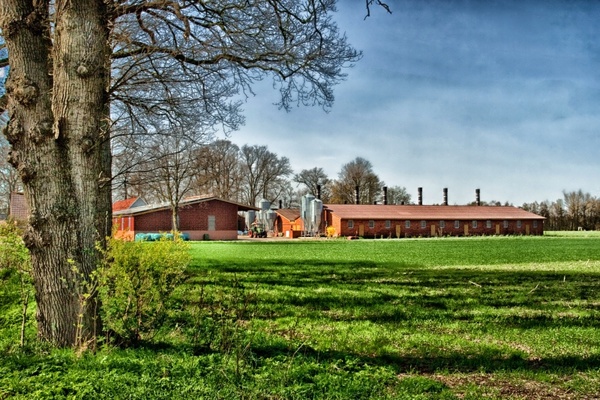 cloppenburg germany farm