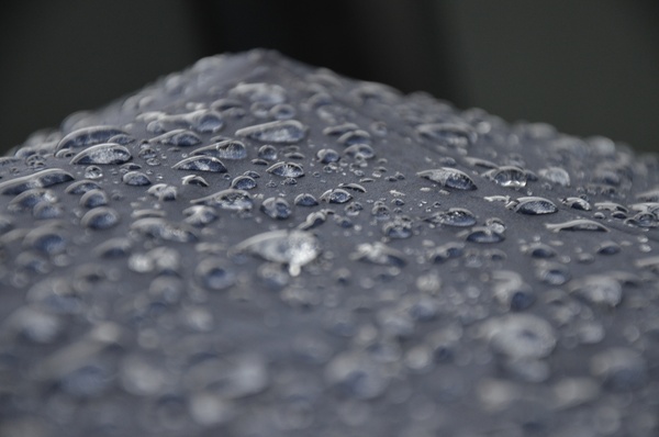 close up drop droplet rain water wet