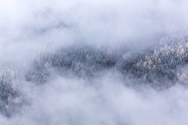 cloud cold fog forest haze landscape mist misty