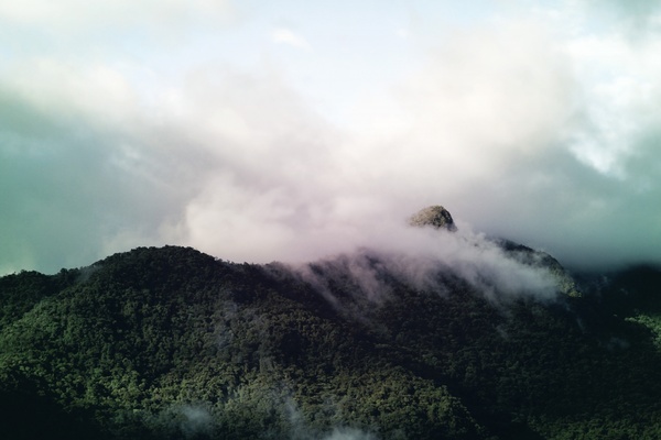 cloud eruption fog forest hiking hill landscape