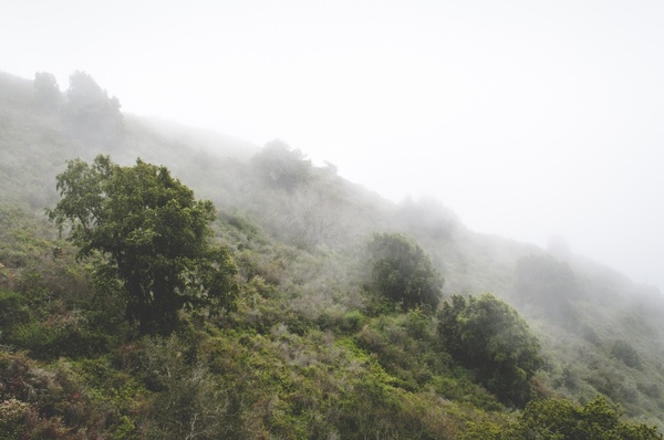cloud fog forest haze hiking hill landscape mist