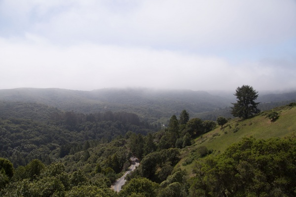 cloud fog forest high hill landscape mist mountain