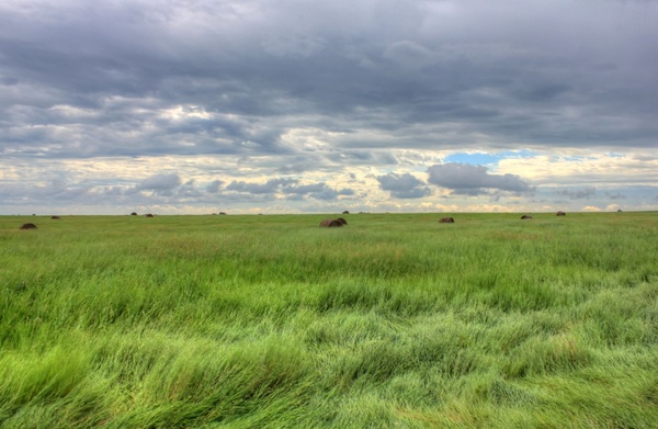 cloudy day on the fields at white butte north dakota 