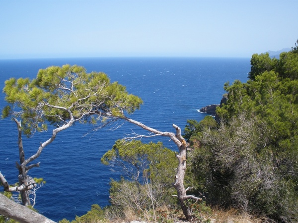 coast nature mediterranean