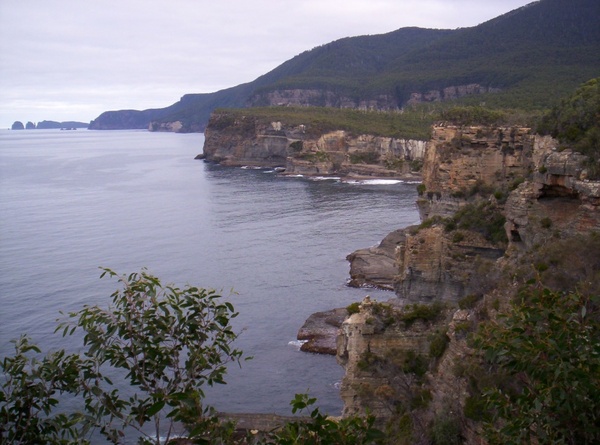 coastal scene tasmania